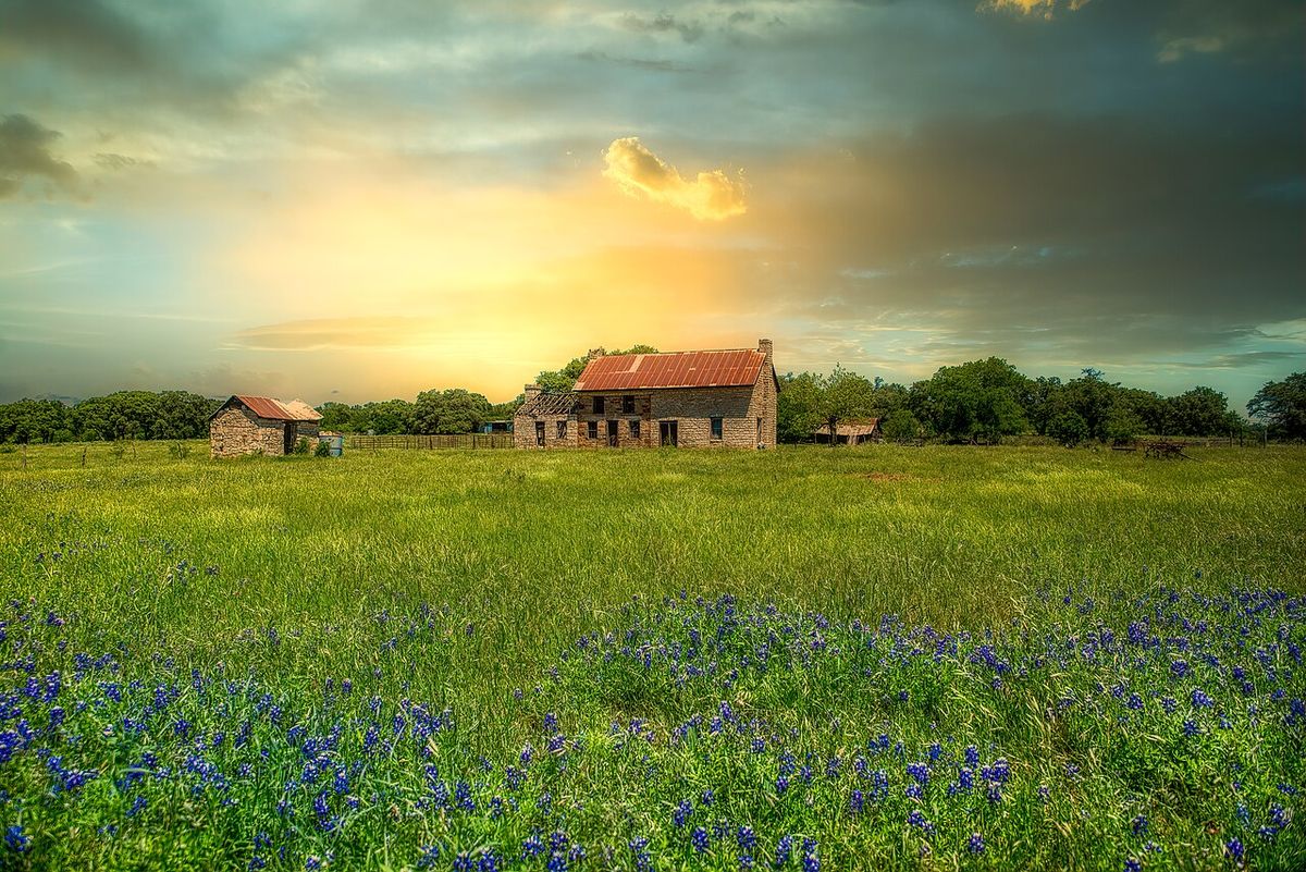 A farmhouse surrounded by a field of bluebonnets